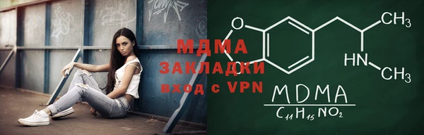 шишки Арсеньев