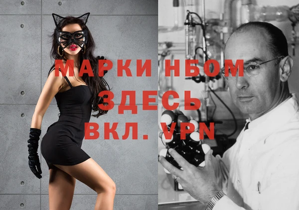 шишки Арсеньев