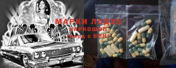 шишки Арсеньев