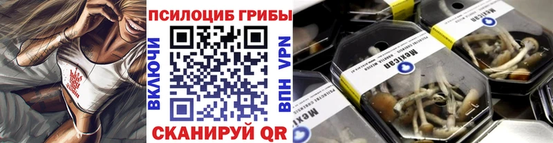 Галлюциногенные грибы Magic Shrooms  наркота  Абдулино 