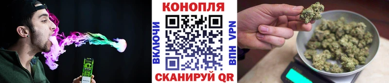 Каннабис планчик Абдулино